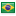 Bandera Subcampeón